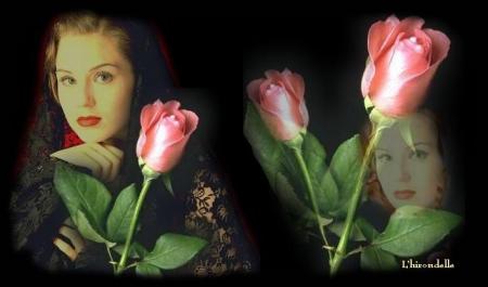 � femmes, femmes, femmes